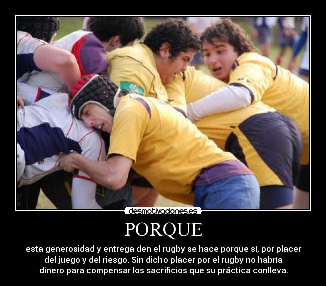 PORQUE - esta generosidad y entrega den el rugby se hace porque sí, por placer
del juego y del riesgo. Sin dicho placer por el rugby no habría
dinero para compensar los sacrificios que su práctica conlleva.