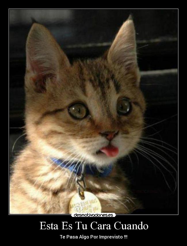Esta Es Tu Cara Cuando -