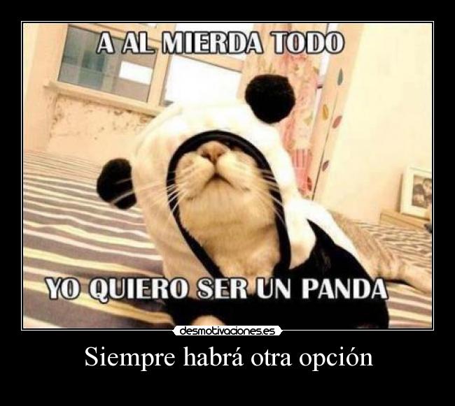Siempre habrá otra opción - 