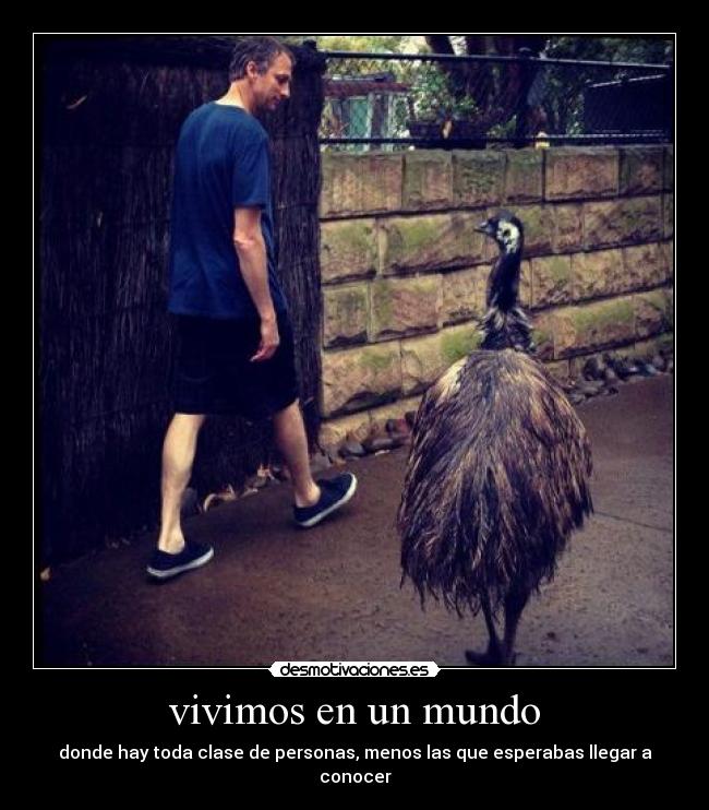 vivimos en un mundo -