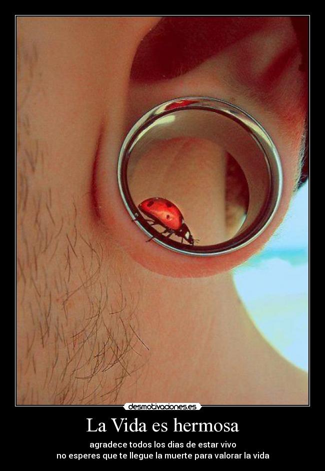 La Vida es hermosa - agradece todos los dias de estar vivo
no esperes que te llegue la muerte para valorar la vida
