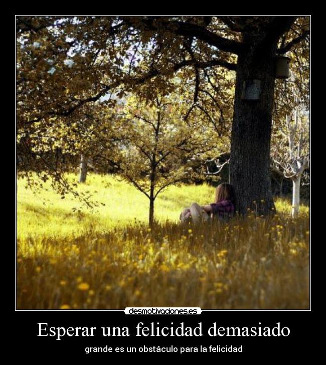 carteles felicidad esperar una felicidad demasiado grande obstaculo para felicidad desmotivaciones