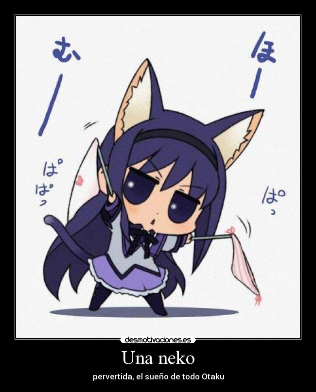 Una neko - pervertida, el sueño de todo Otaku
