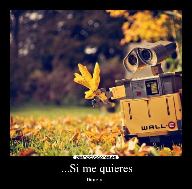 ...Si me quieres - Dímelo...