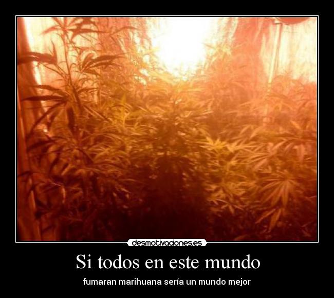 Si todos en este mundo - fumaran marihuana sería un mundo mejor