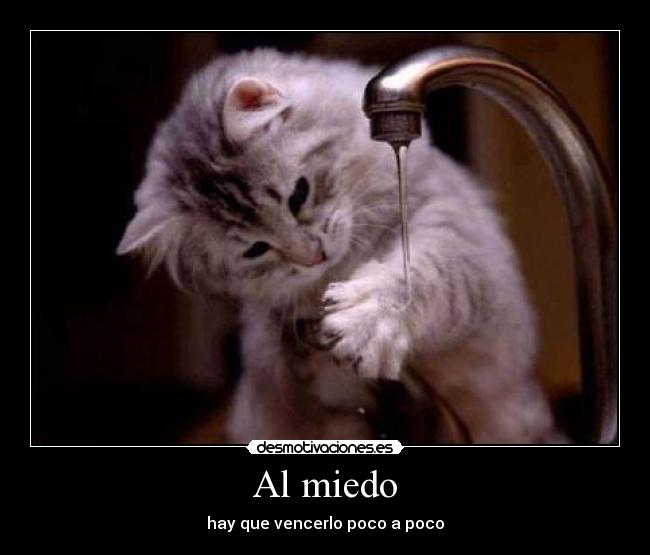 Al miedo -