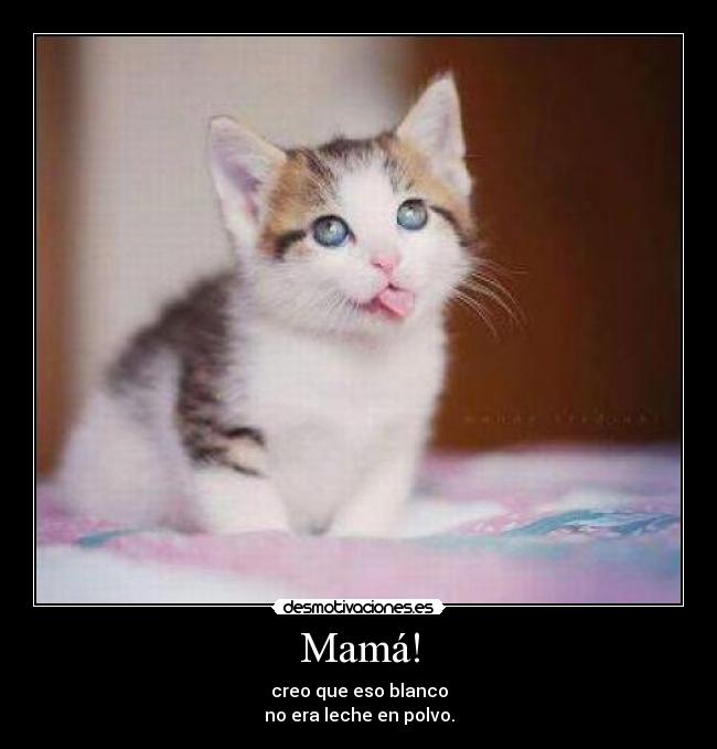 Mamá! - creo que eso blanco
no era leche en polvo.