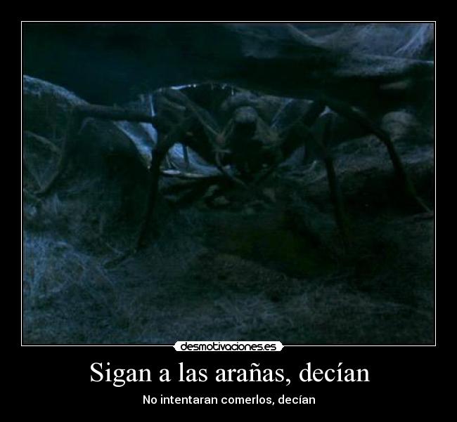 Sigan a las arañas, decían - No intentaran comerlos, decían