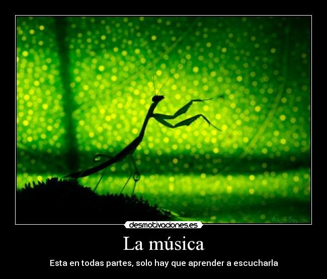 La música - Esta en todas partes, solo hay que aprender a escucharla