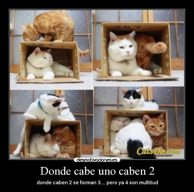 Donde cabe uno caben 2 - 