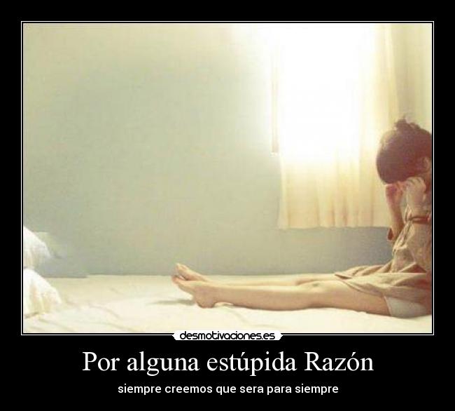 Por alguna estúpida Razón - siempre creemos que sera para siempre