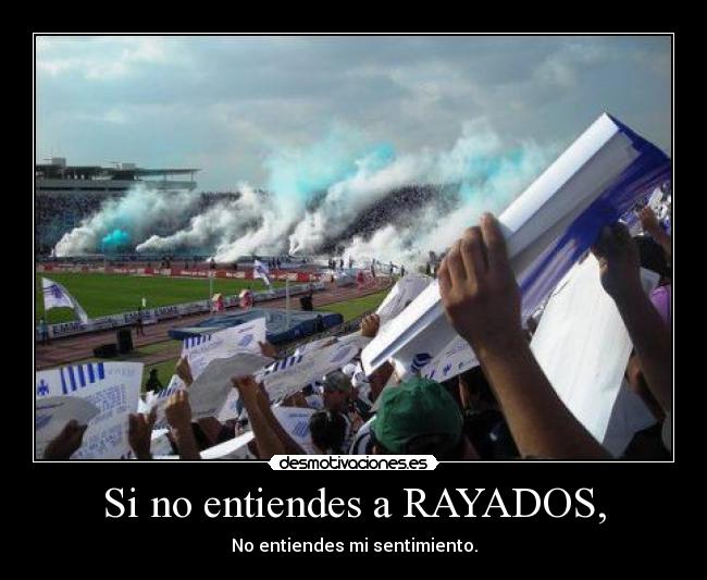 Si no entiendes a RAYADOS, - No entiendes mi sentimiento.