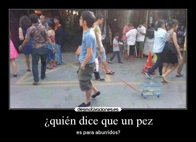 carteles quien dice que pez para aburridos desmotivaciones