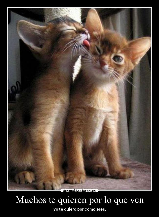 Muchos te quieren por lo que ven - yo te quiero por como eres.