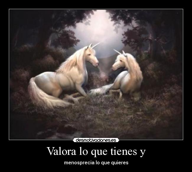 Valora lo que tienes y - menosprecia lo que quieres