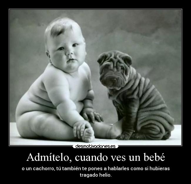 Admítelo, cuando ves un bebé - o un cachorro, tú también te pones a hablarles como si hubieras tragado helio.
