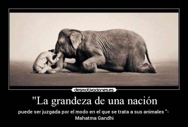 La grandeza de una nación - puede ser juzgada por el modo en el que se trata a sus animales - 
Mahatma Gandhi
