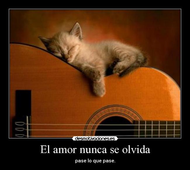 El amor nunca se olvida - 
