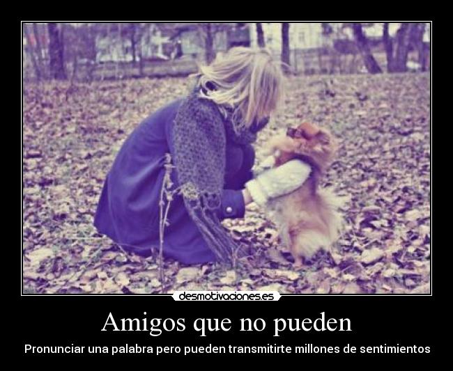 Amigos que no pueden -
