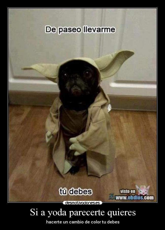 Si a yoda parecerte quieres -
