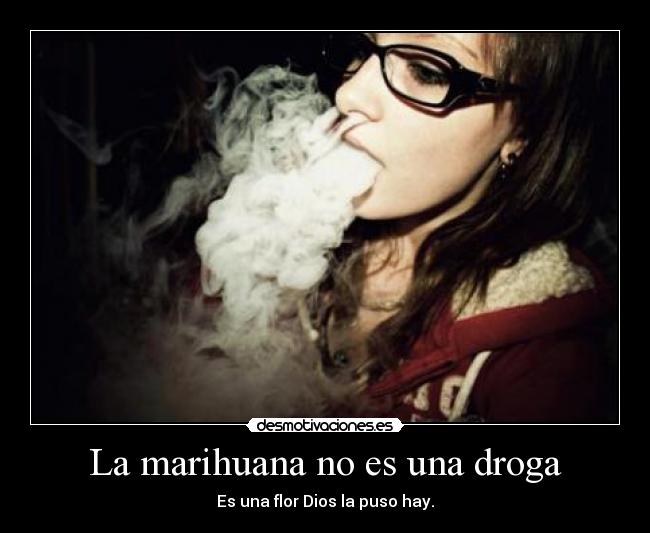 La marihuana no es una droga -