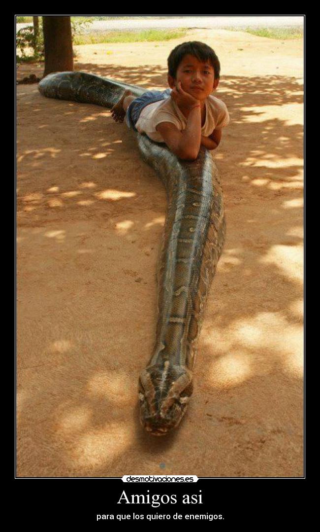 Amigos asi - para que los quiero de enemigos.