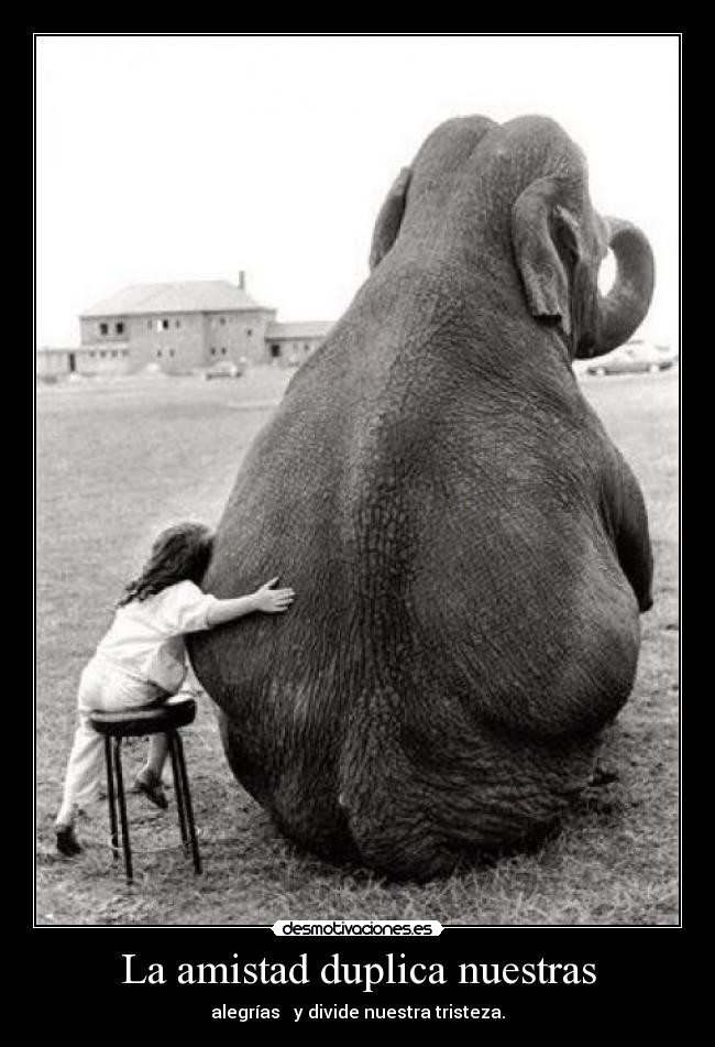 La amistad duplica nuestras - alegrías y divide nuestra tristeza.