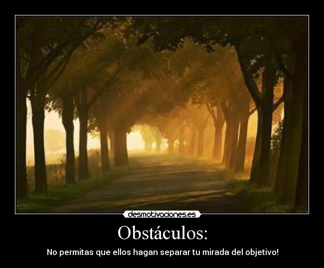 Obstáculos: - No permitas que ellos hagan separar tu mirada del objetivo!
