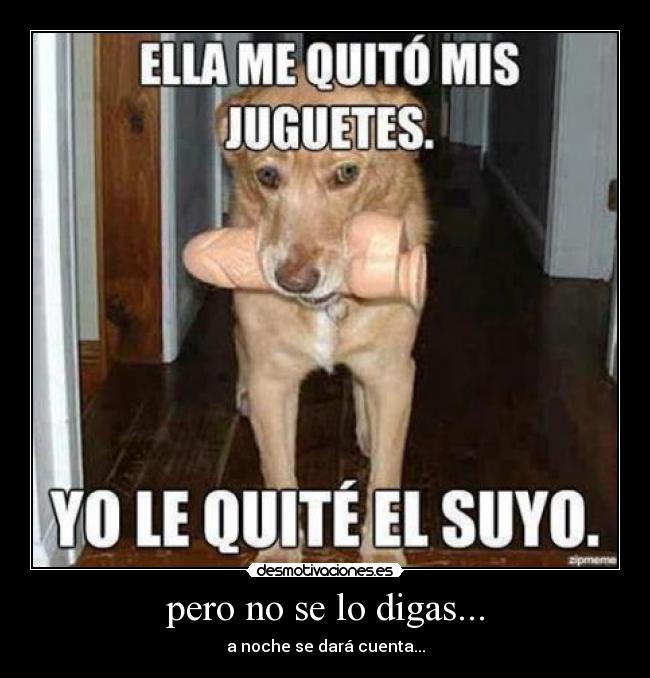 pero no se lo digas... - a noche se dará cuenta...