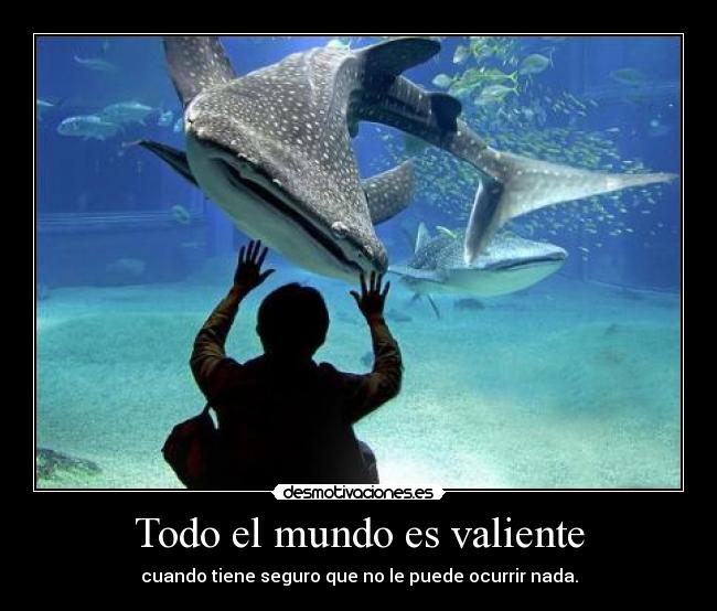carteles mundo papapitufo pitupac awesomenawer shark sac mai dic desmotivaciones