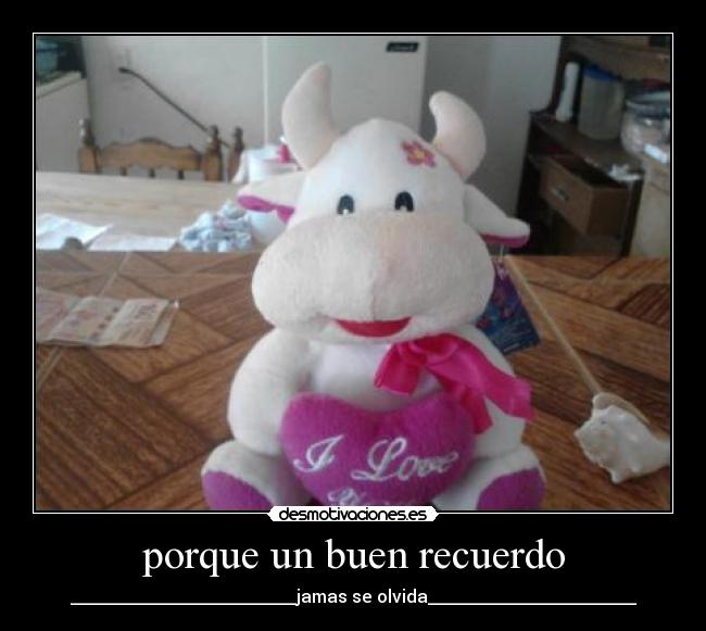 carteles linda desmotivaciones