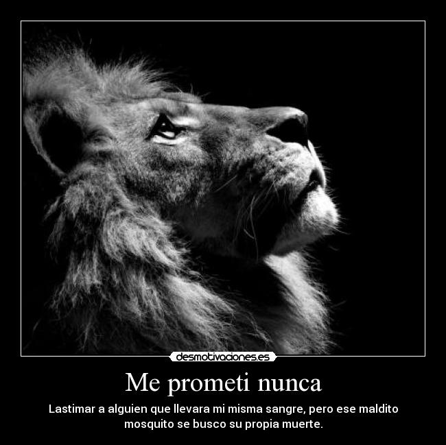 Me prometi nunca - Lastimar a alguien que llevara mi misma sangre, pero ese maldito
mosquito se busco su propia muerte.
