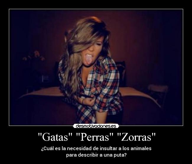 Gatas Perras Zorras - ¿Cuál es la necesidad de insultar a los animales
para describir a una puta?