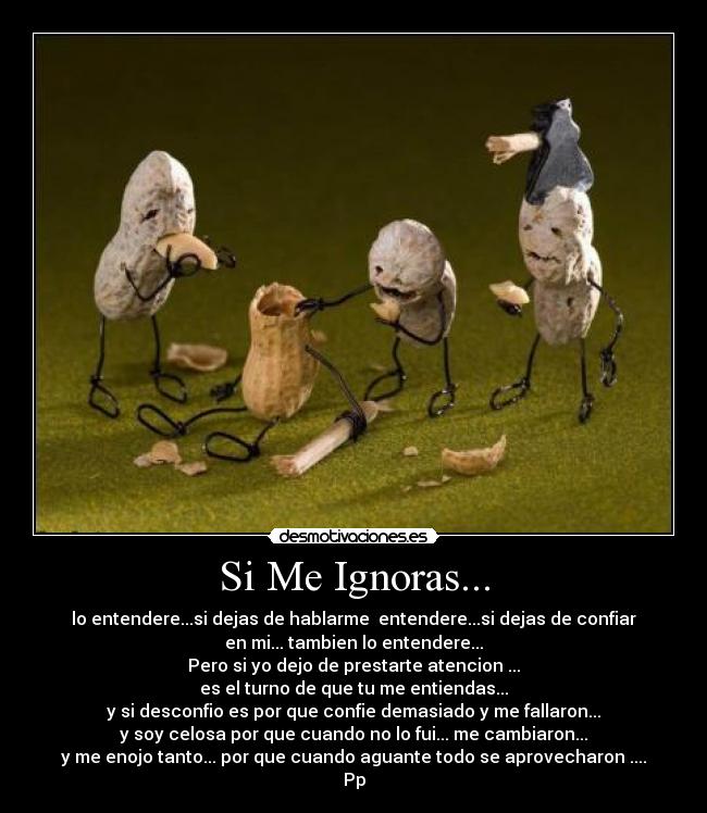 Si Me Ignoras... -