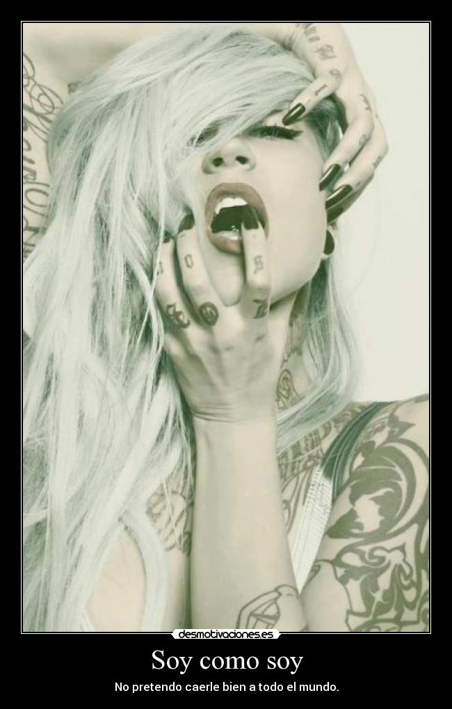 carteles soy asi desmotivaciones