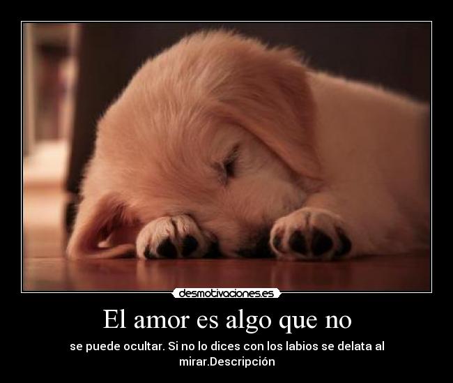 carteles amor silvia289 desmotivaciones