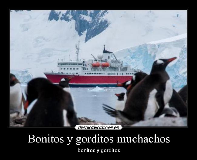 Bonitos y gorditos muchachos - bonitos y gorditos