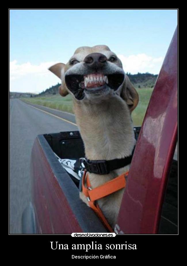 Una amplia sonrisa - Descripción Gráfica