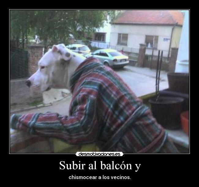 Subir al balcón y -