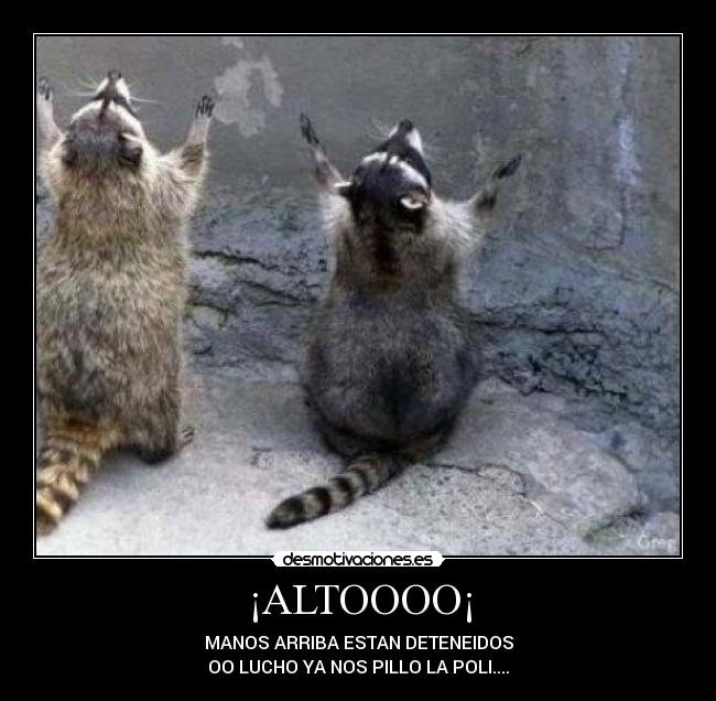 ¡ALTOOOO¡ - MANOS ARRIBA ESTAN DETENEIDOS
OO LUCHO YA NOS PILLO LA POLI....