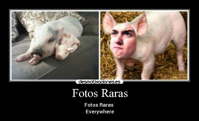 Fotos Raras - 