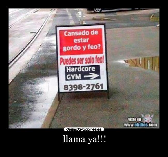 llama ya!!! - 