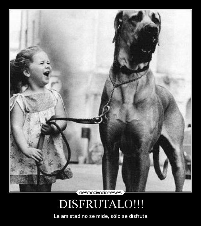 DISFRUTALO!!! - 