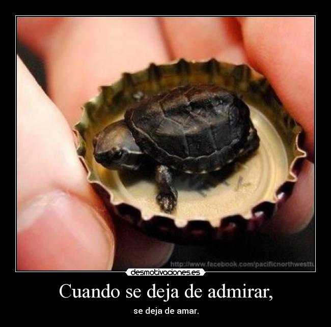 Cuando se deja de admirar, - se deja de amar.