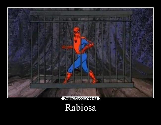 carteles parodia shakira hombre arana desmotivaciones