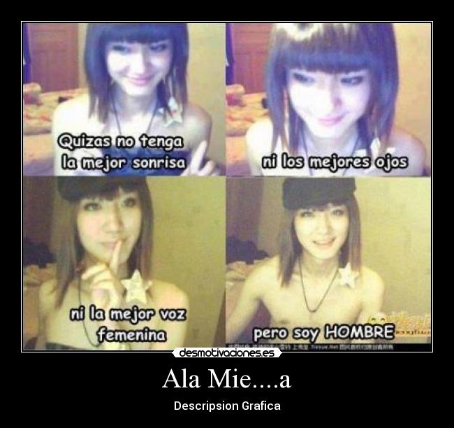 carteles korrz desmotivaciones