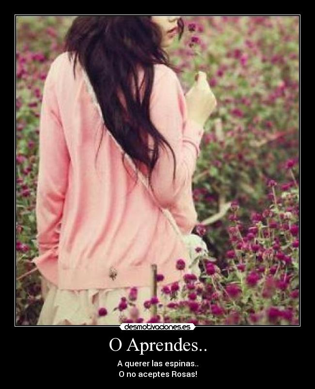 O Aprendes.. - A querer las espinas..
O no aceptes Rosas!