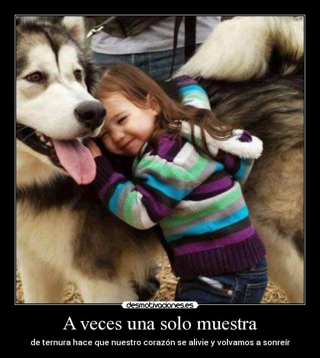 A veces una solo muestra - de ternura hace que nuestro corazón se alivie y volvamos a sonreír