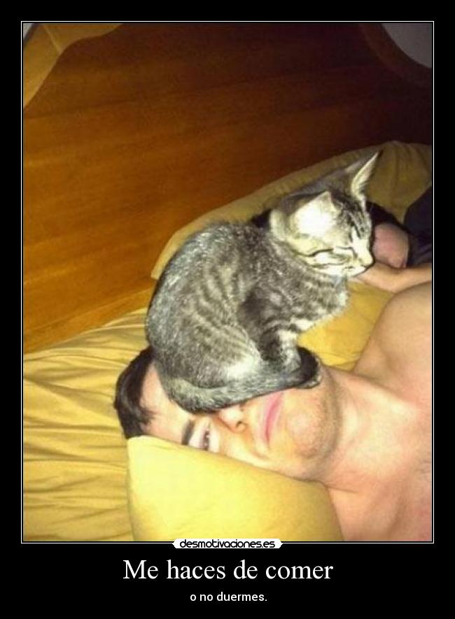 Me haces de comer - 
