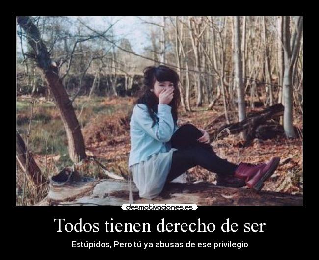 Todos tienen derecho de ser - Estúpidos, Pero tú ya abusas de ese privilegio